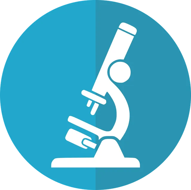 Caniu Research & Insights Beratung